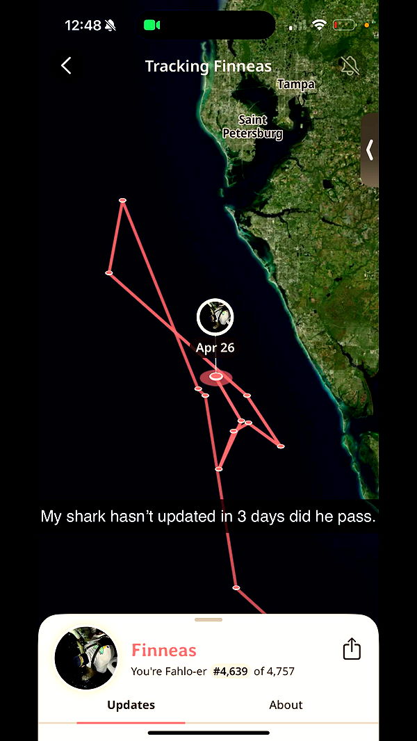 breesemaroc1 image ~ Altpins