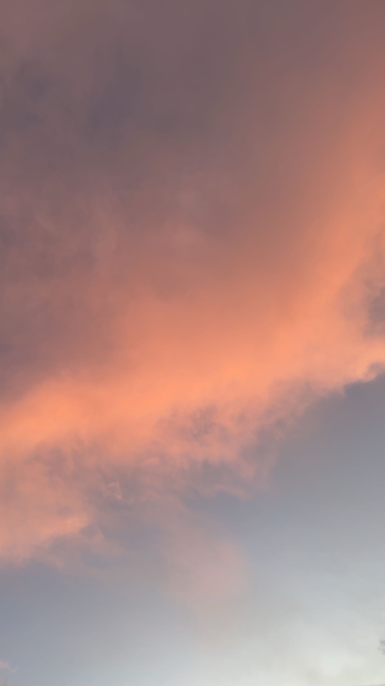 breesemaroc1 snapchat image archive image