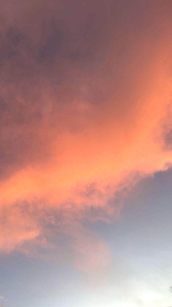 breesemaroc1 image ~ Altpins