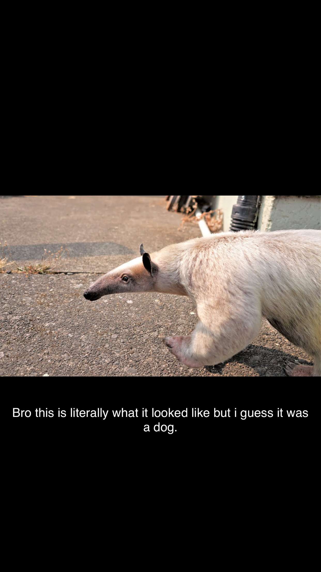 breesemaroc1 snapchat image archive image