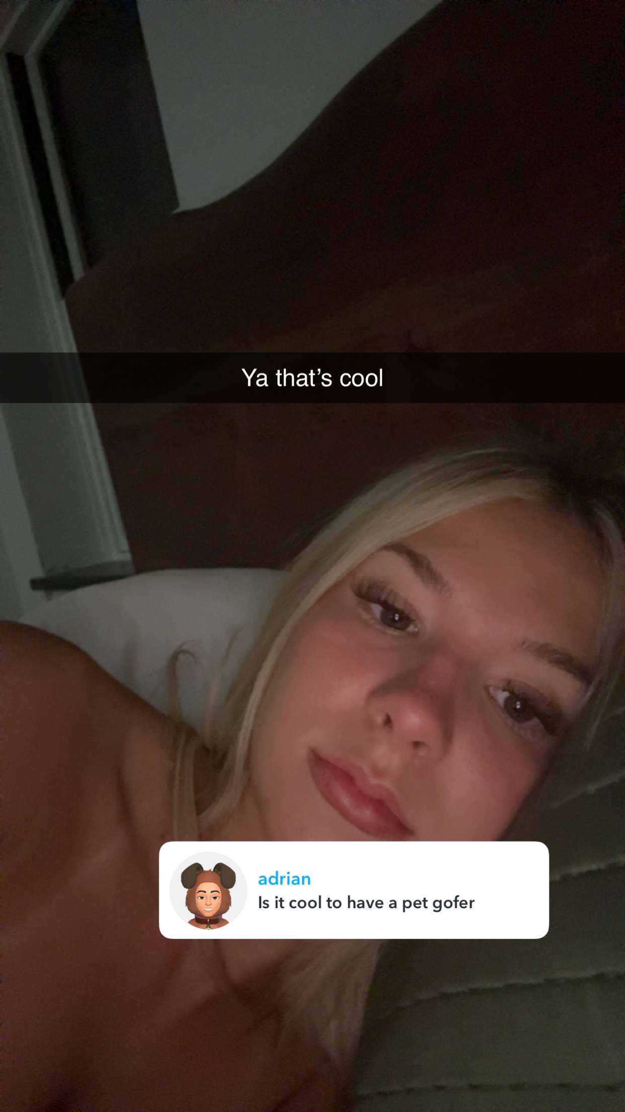 breesemaroc1 snapchat image archive image