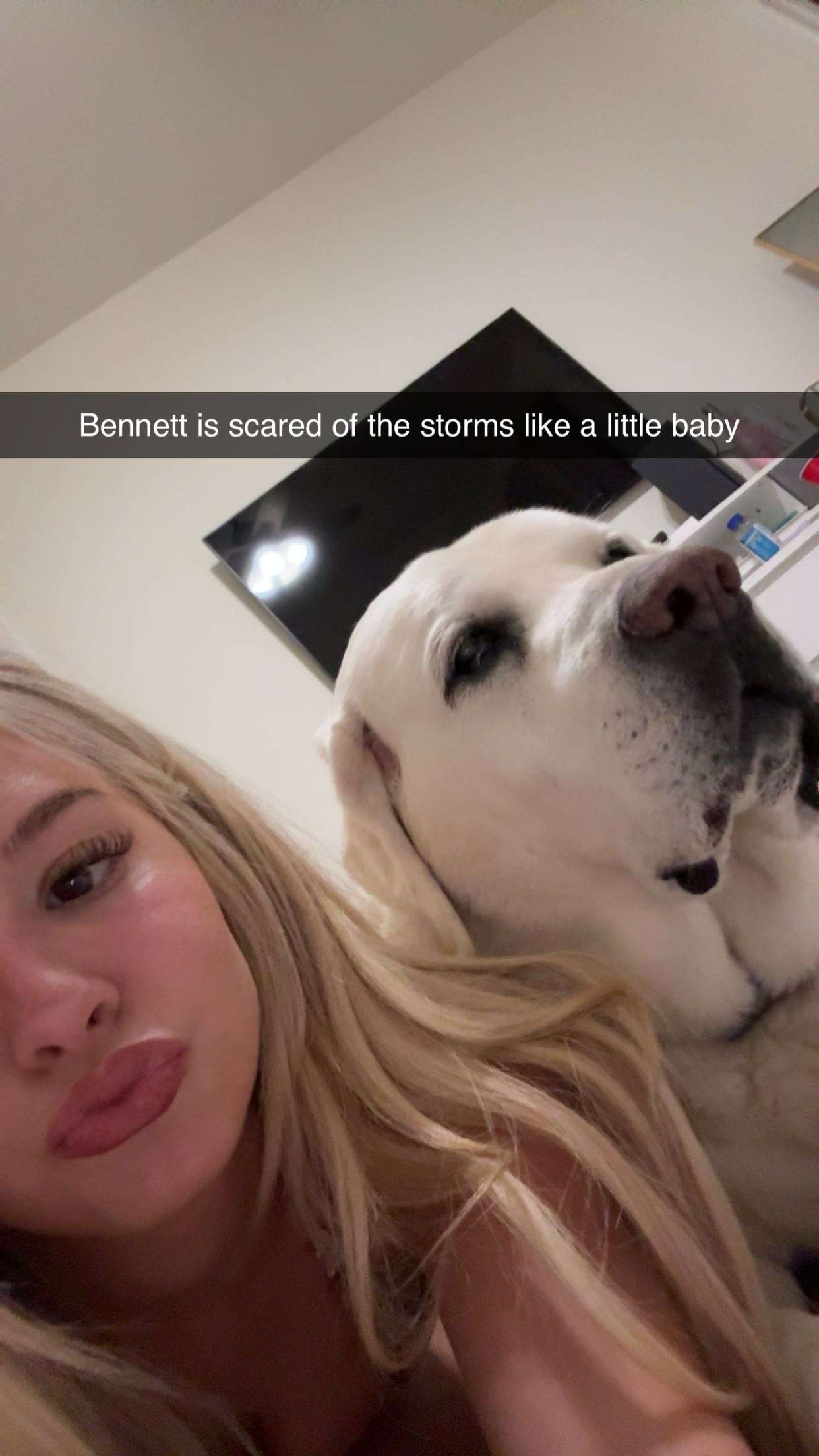 breesemaroc1 snapchat image archive image