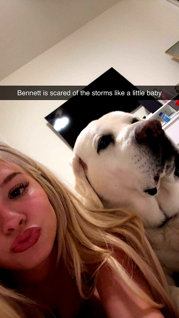 breesemaroc1 image ~ Altpins