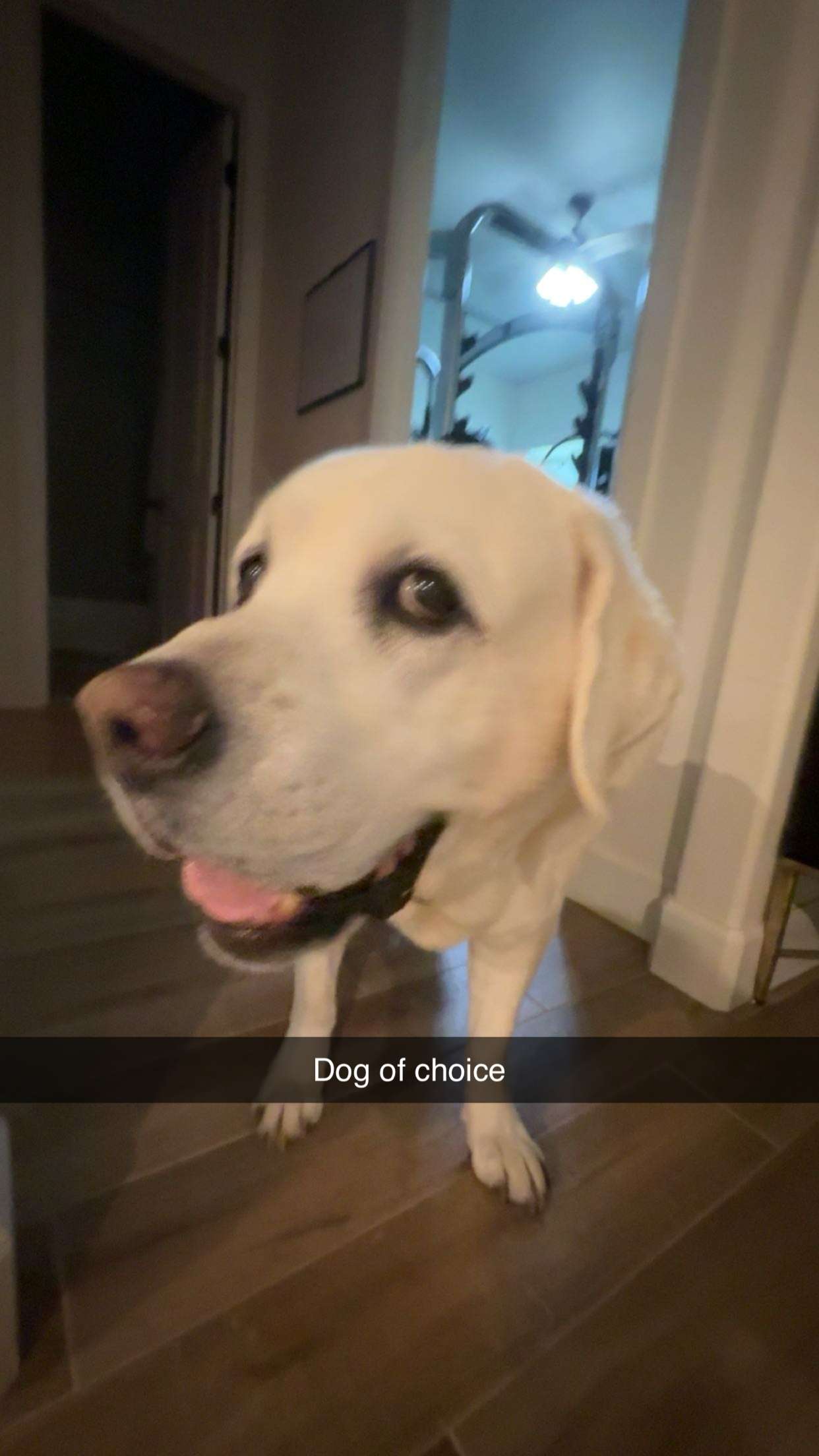 breesemaroc1 snapchat image archive image