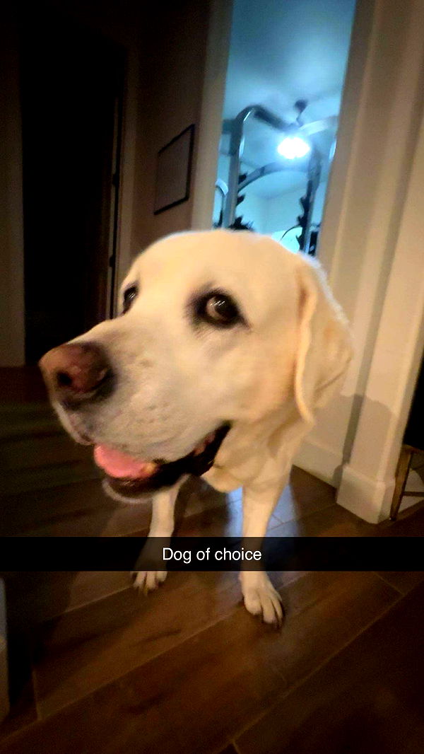 breesemaroc1 image ~ Altpins