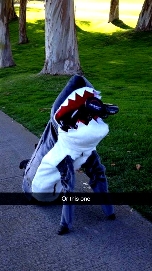 breesemaroc1 image ~ Altpins