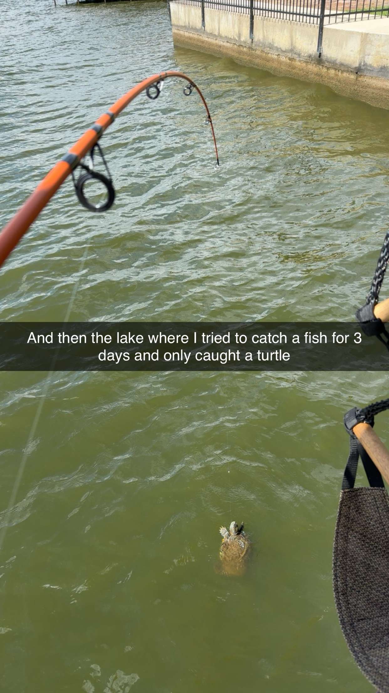 breesemaroc1 snapchat image archive image