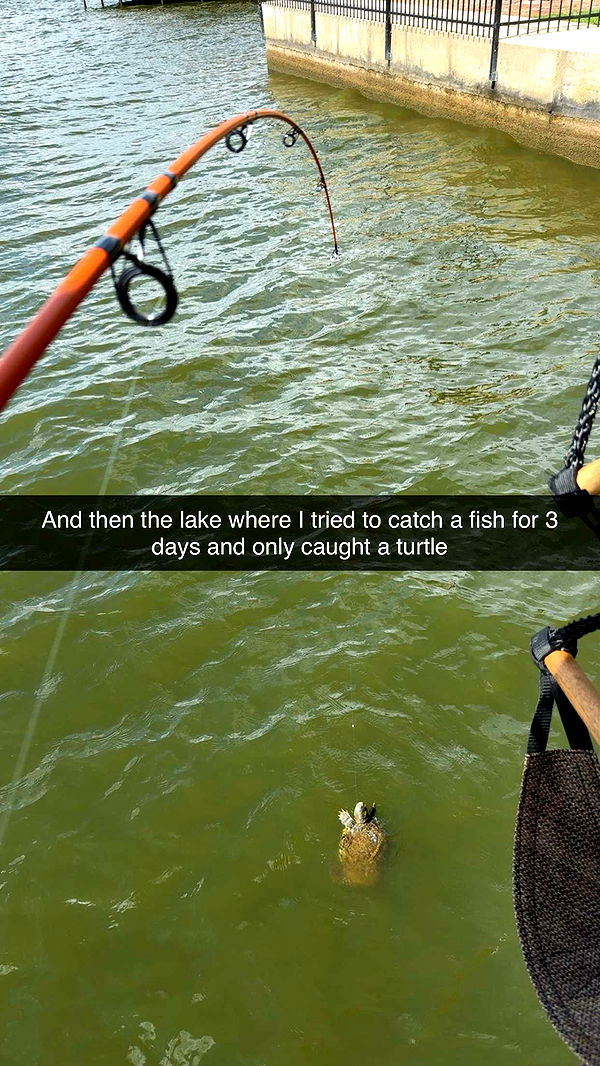 breesemaroc1 image ~ Altpins