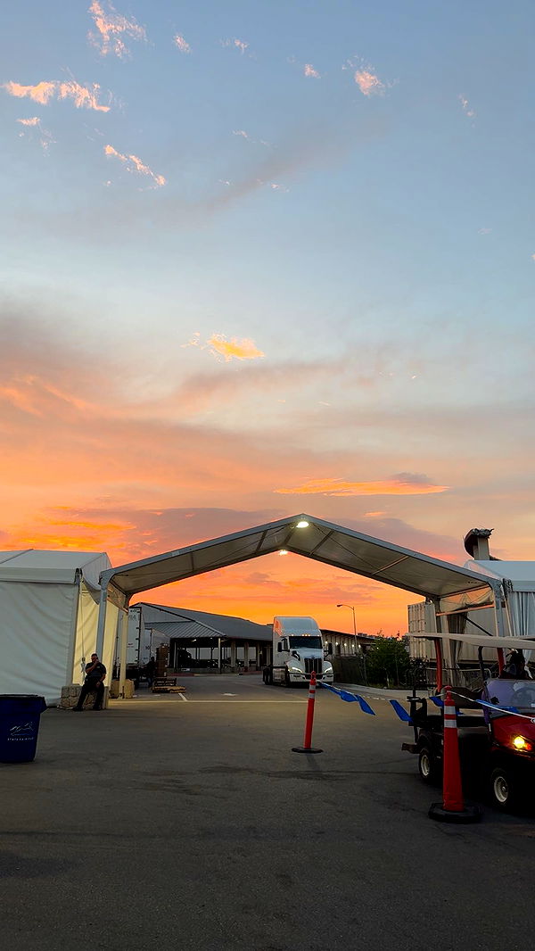 breesemaroc1 image ~ Altpins