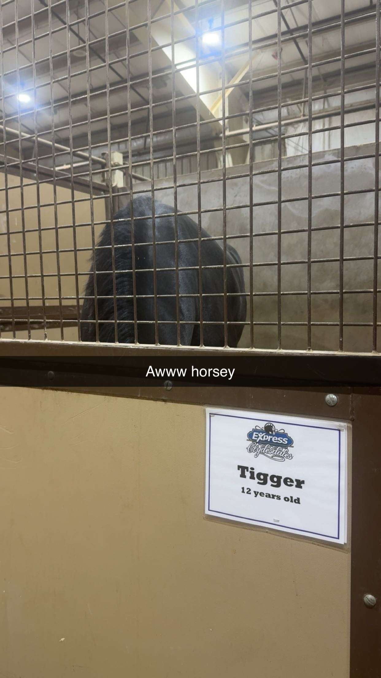 breesemaroc1 snapchat image archive image