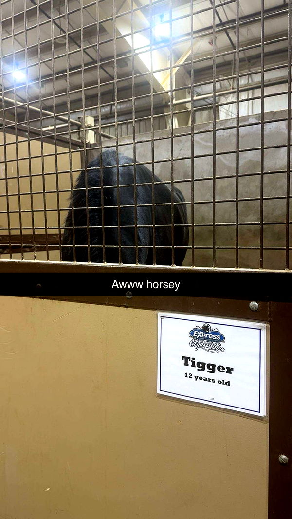 breesemaroc1 image ~ Altpins