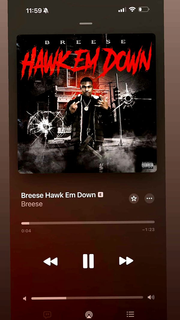 breesemaroc1 image ~ Altpins