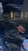 brynhildurgunnl Altpins Profile Picture