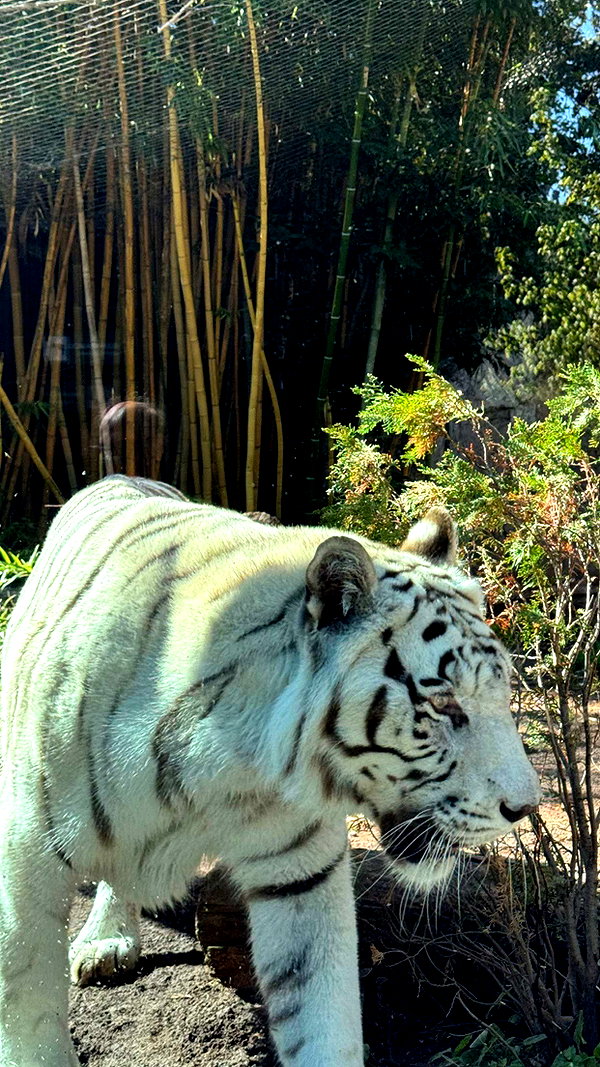 brynhildurgunnl snapchat image archive image