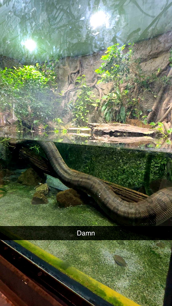 brynhildurgunnl snapchat image archive image