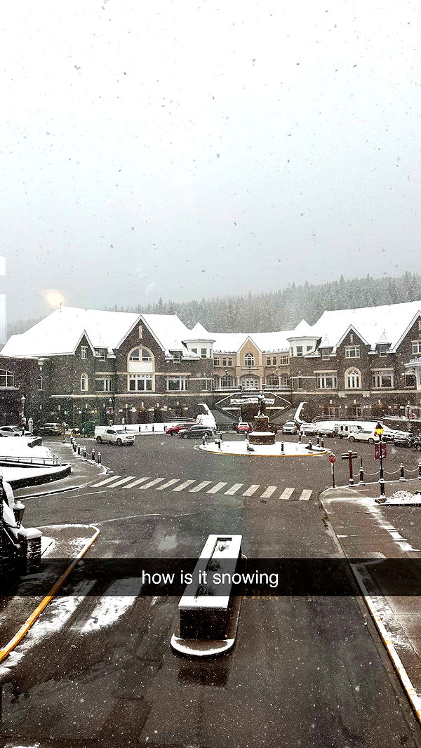 c.aitknight image ~ Altpins