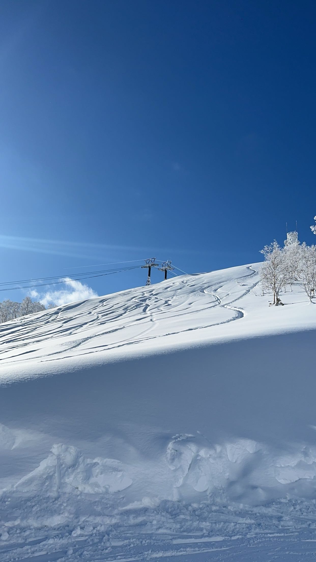 c.aitknight snapchat image archive image