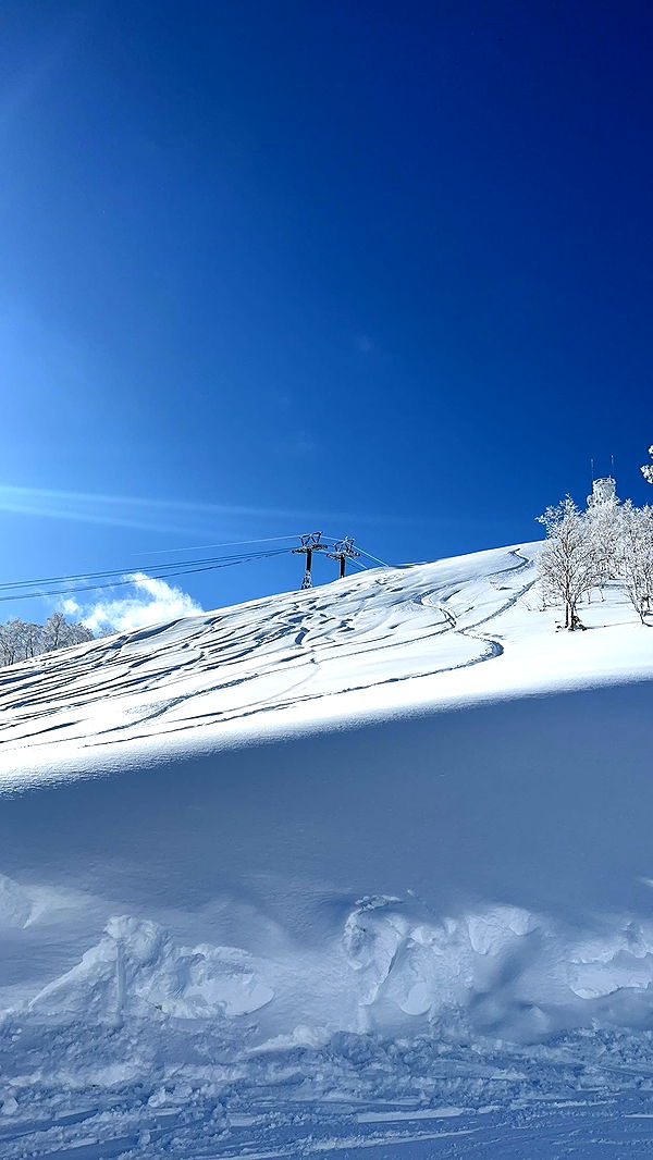 c.aitknight image ~ Altpins