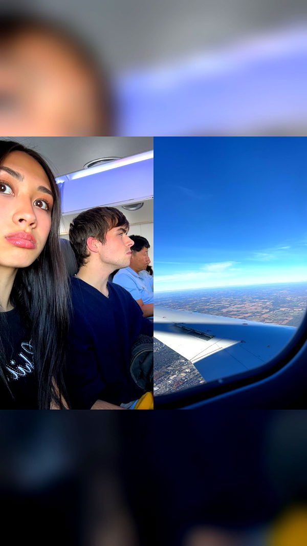 c.aitknight image ~ Altpins