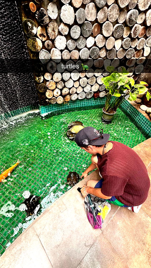 c.aitknight image ~ Altpins