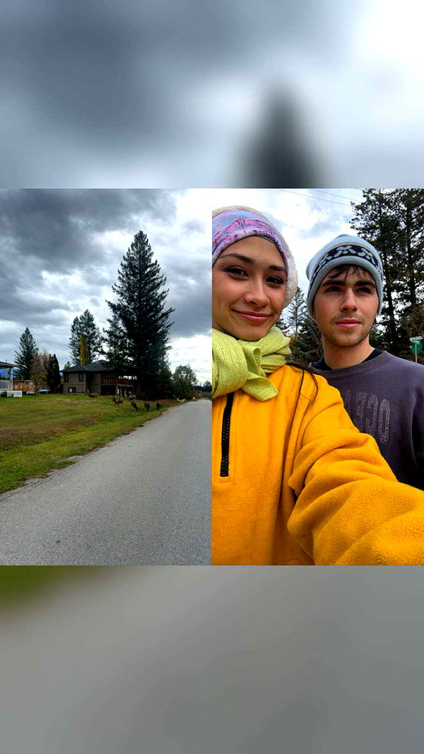 c.aitknight image ~ Altpins