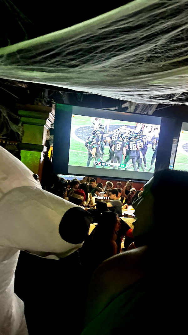 c.aitknight image ~ Altpins