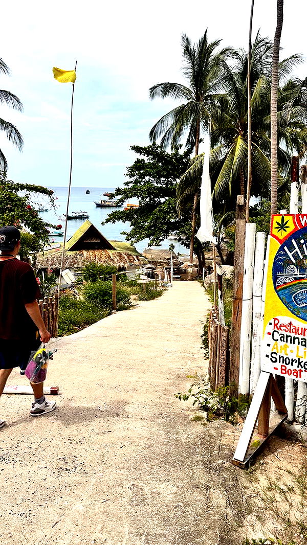 c.aitknight image ~ Altpins