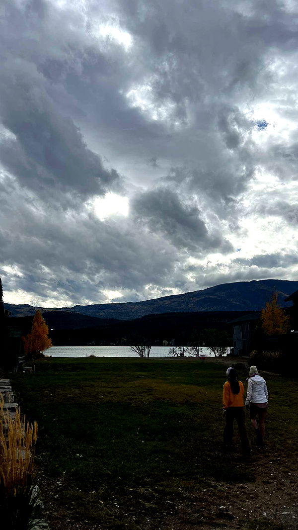 c.aitknight image ~ Altpins