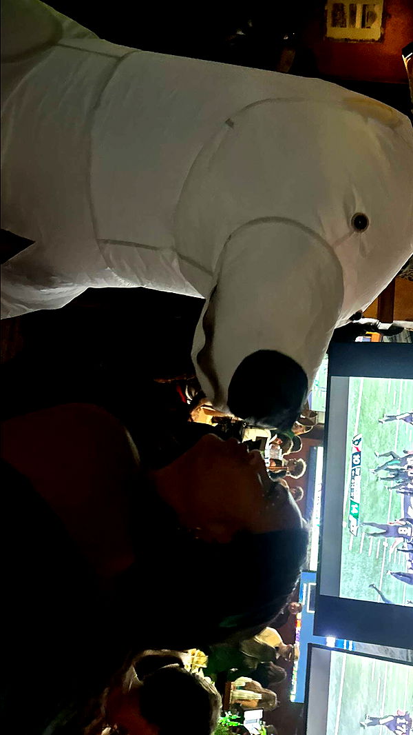 c.aitknight image ~ Altpins