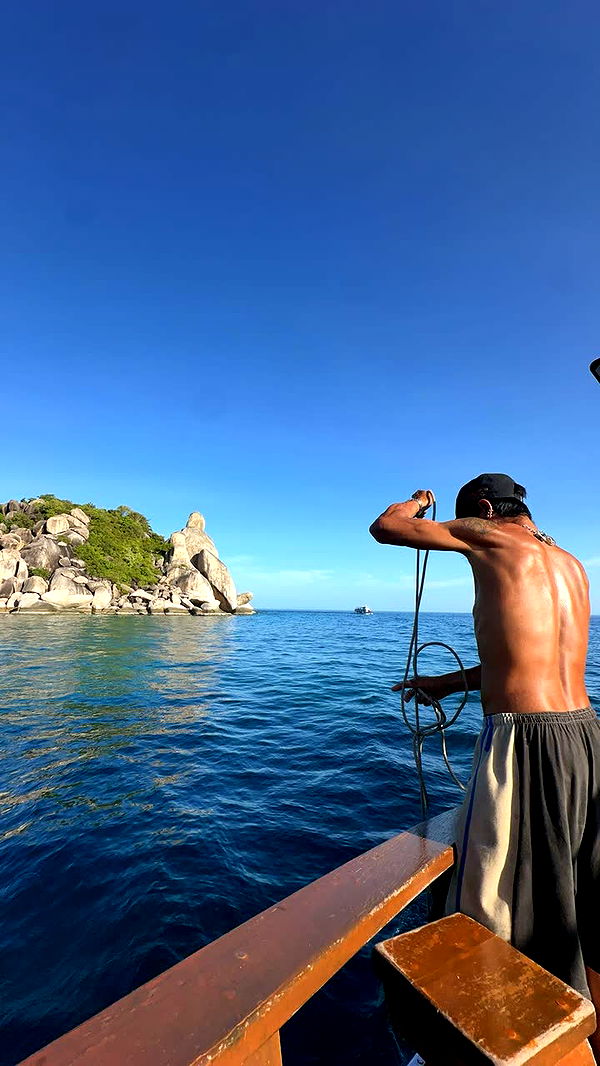 c.aitknight image ~ Altpins