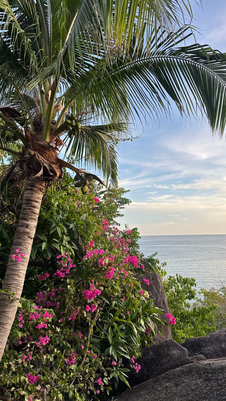 c.aitknight snapchat image archive image