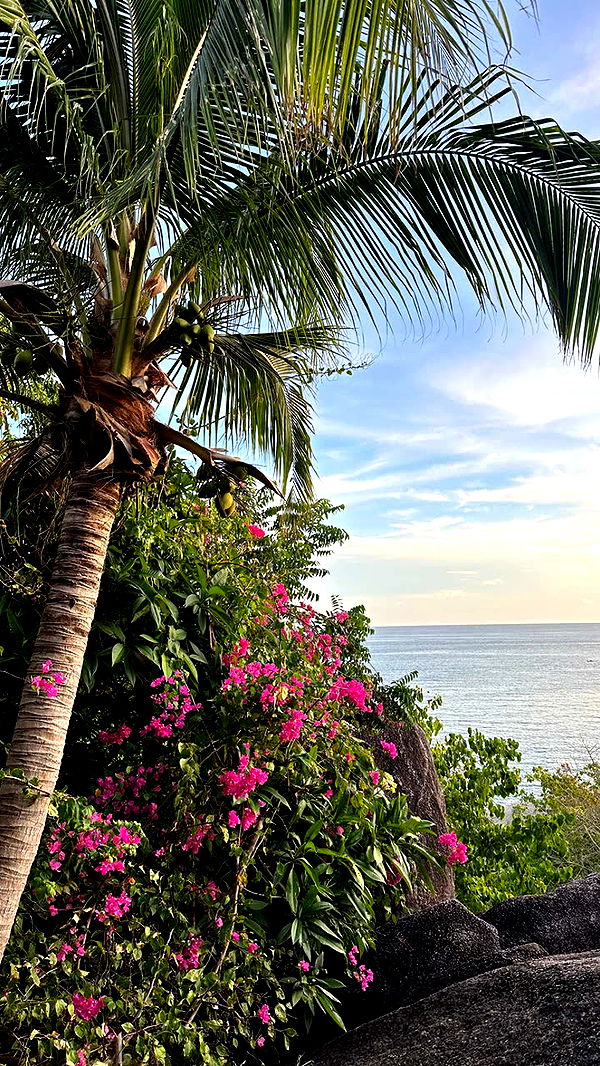 c.aitknight image ~ Altpins