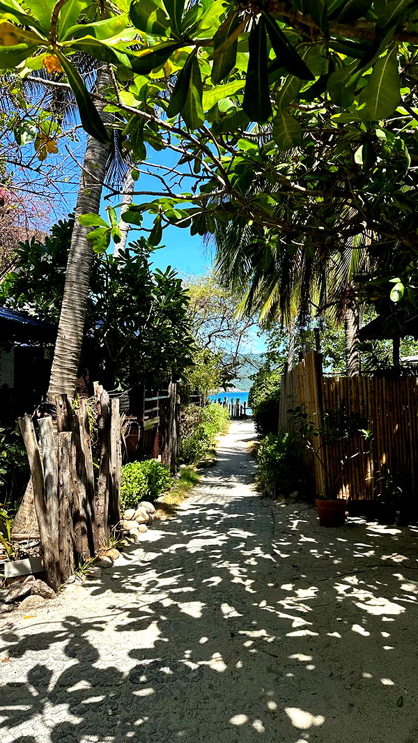 c.aitknight image ~ Altpins