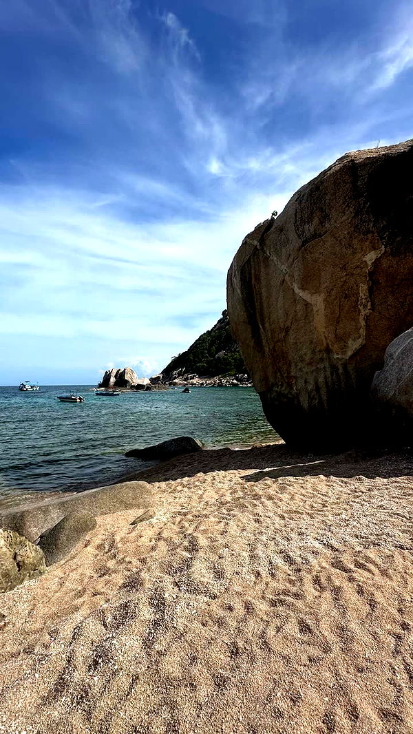 c.aitknight image ~ Altpins