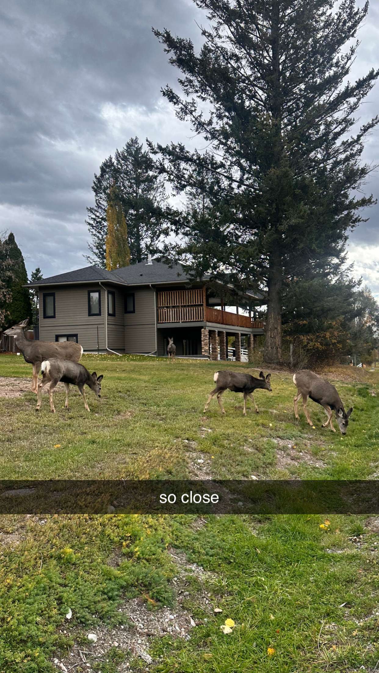 c.aitknight snapchat image archive image