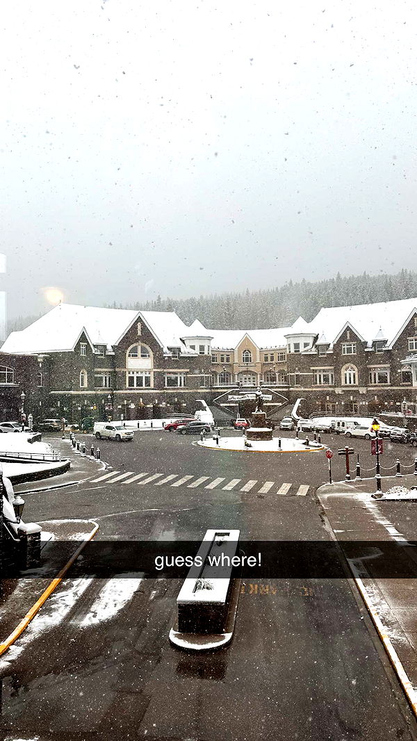 c.aitknight image ~ Altpins