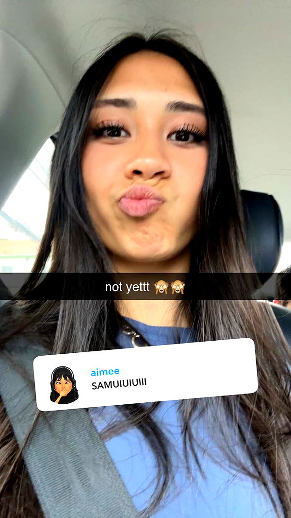 c.aitknight image ~ Altpins