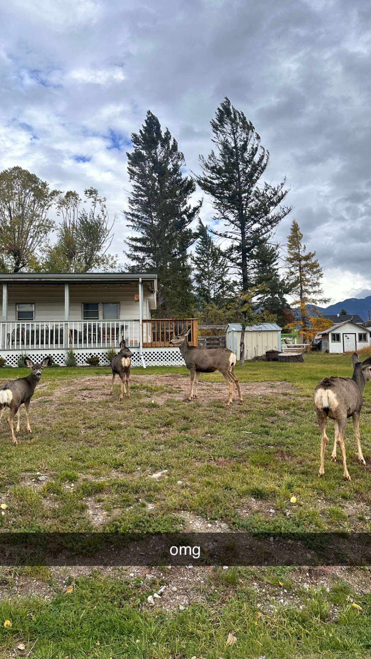 c.aitknight snapchat image archive image