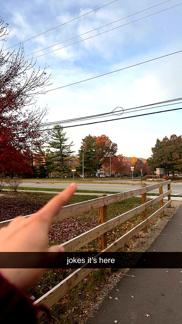 c.aitknight image ~ Altpins