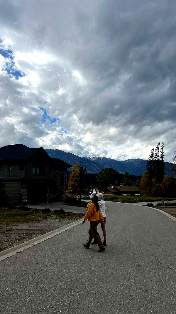 c.aitknight image ~ Altpins