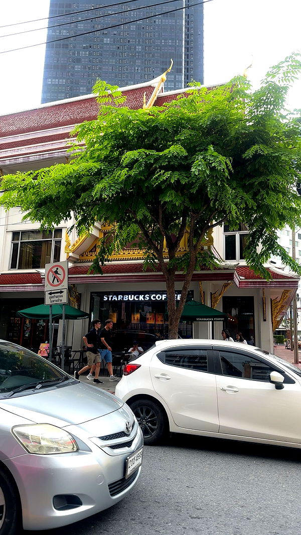 c.aitknight image ~ Altpins