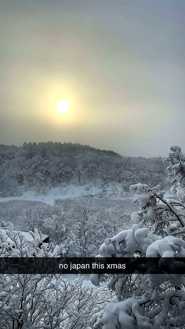 c.aitknight image ~ Altpins