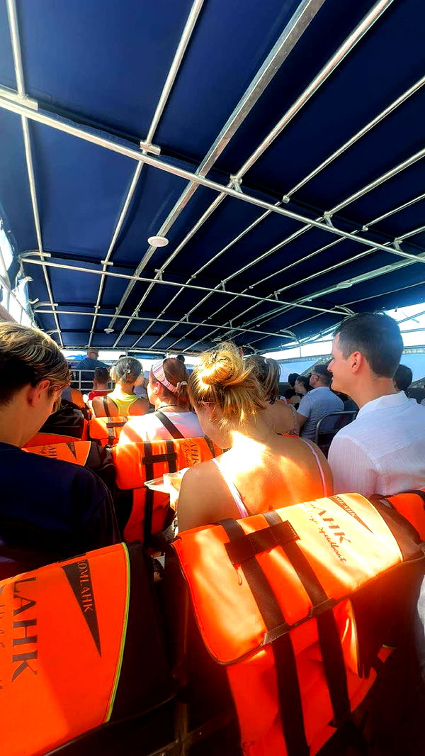 c.aitknight image ~ Altpins