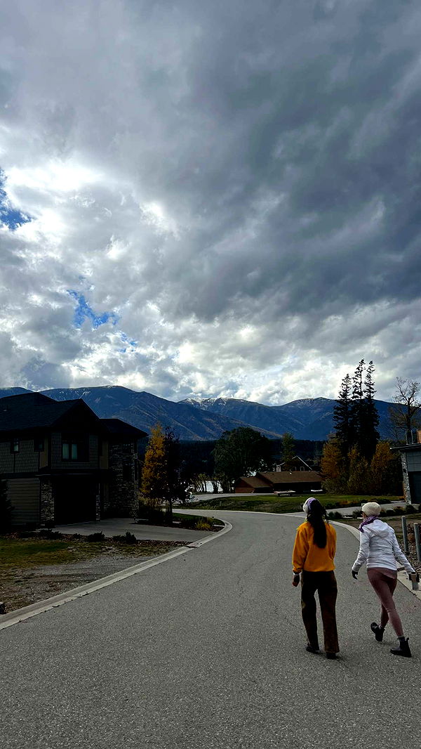 c.aitknight image ~ Altpins