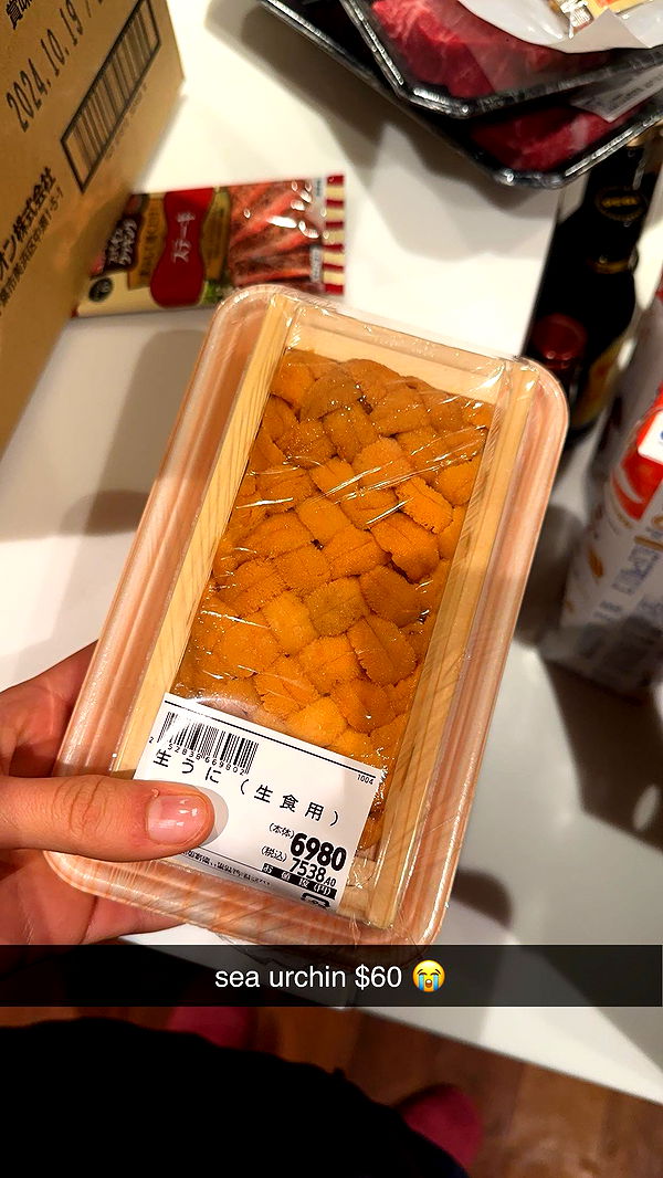 c.aitknight image ~ Altpins