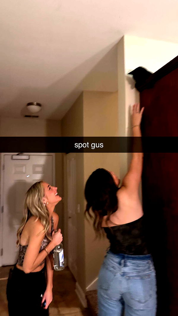 c.aitknight image ~ Altpins