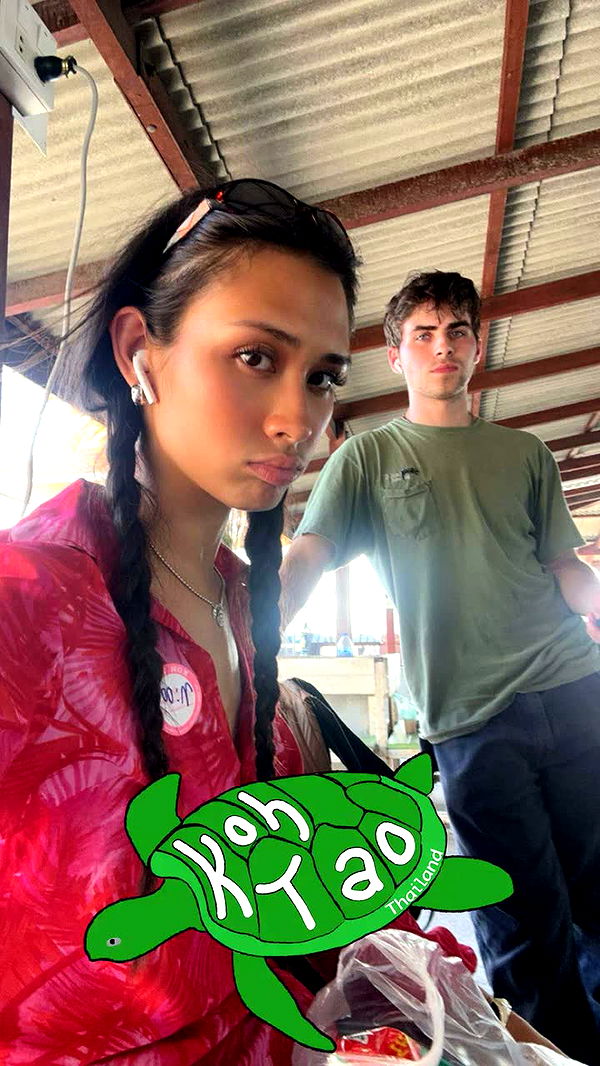 c.aitknight image ~ Altpins