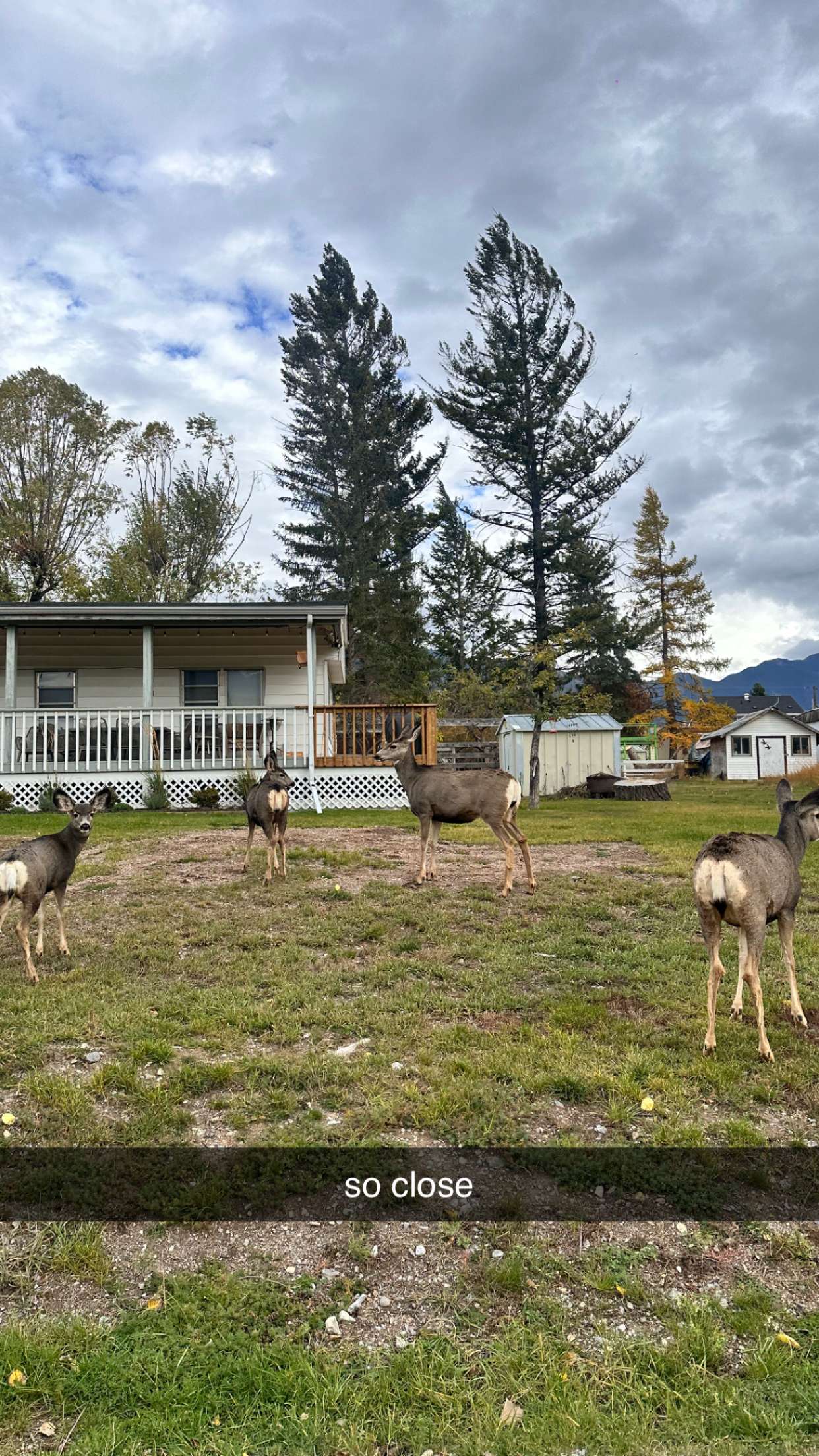 c.aitknight snapchat image archive image