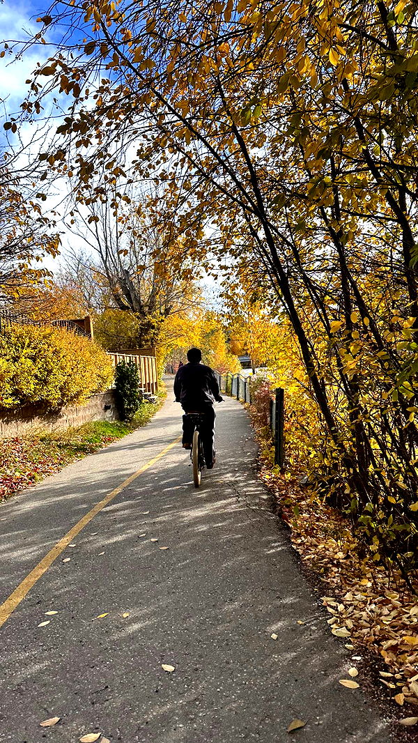 c.aitknight image ~ Altpins