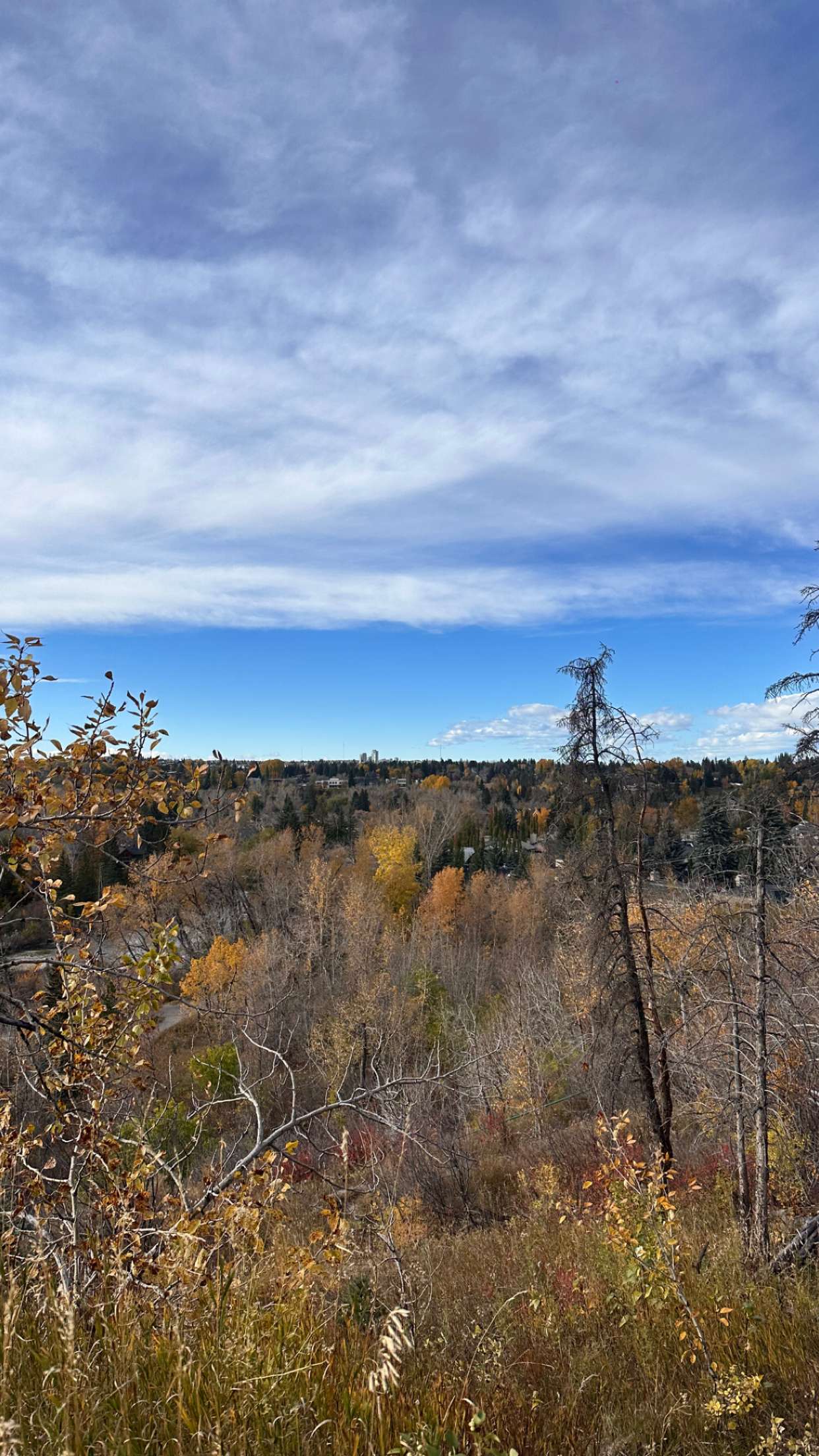 c.aitknight snapchat image archive image